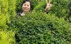 好多水好湿舌头伸进去